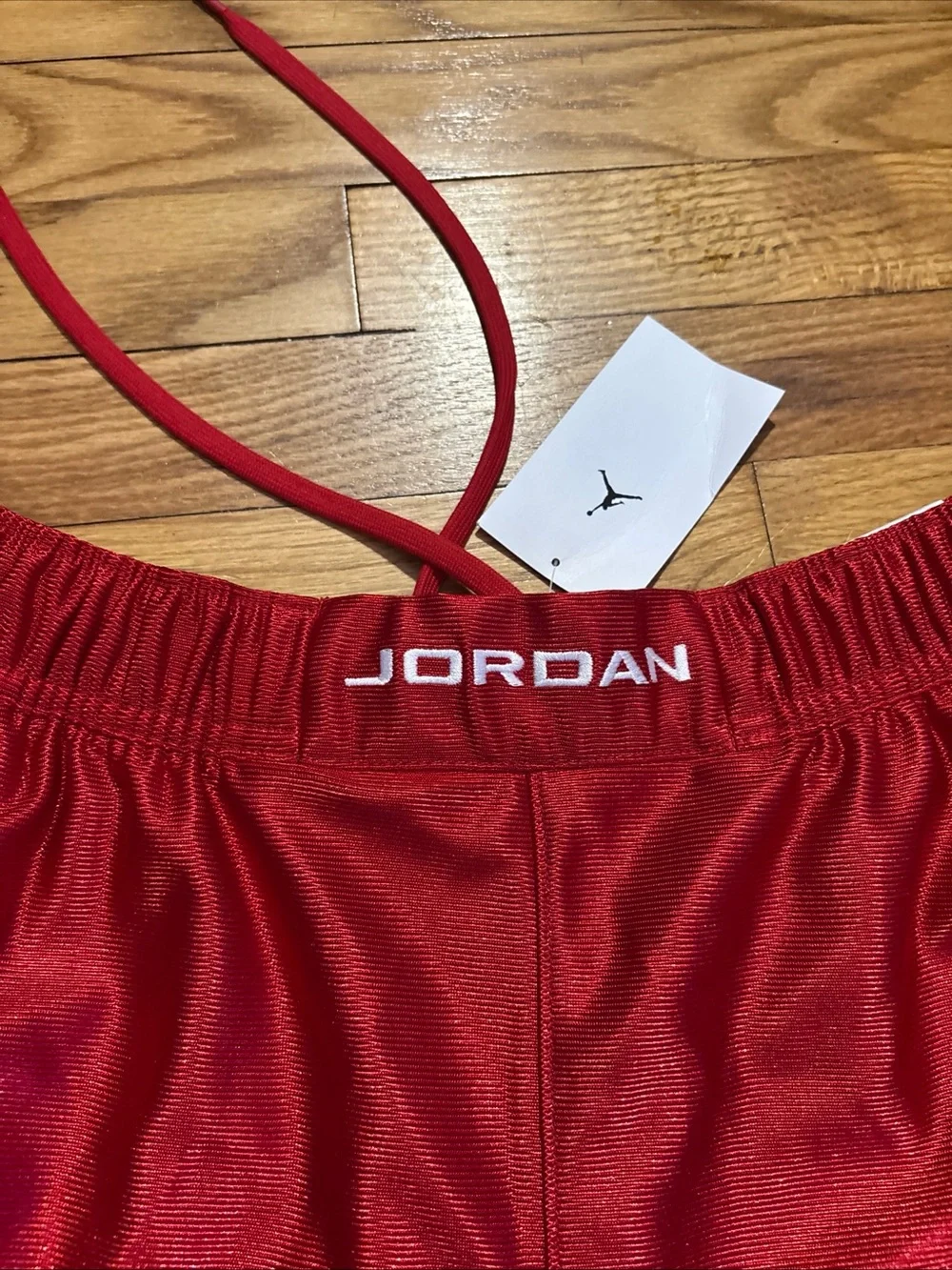 Nike Jordan Brooklyn Cat Scratch  Basketball Shorts Men’s sz L NEW!